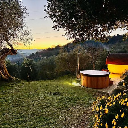 Montebello Degli Olivi Chiusi Bagian luar foto