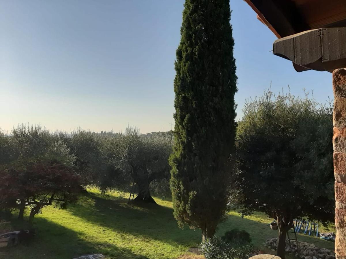 Montebello Degli Olivi Chiusi Bagian luar foto