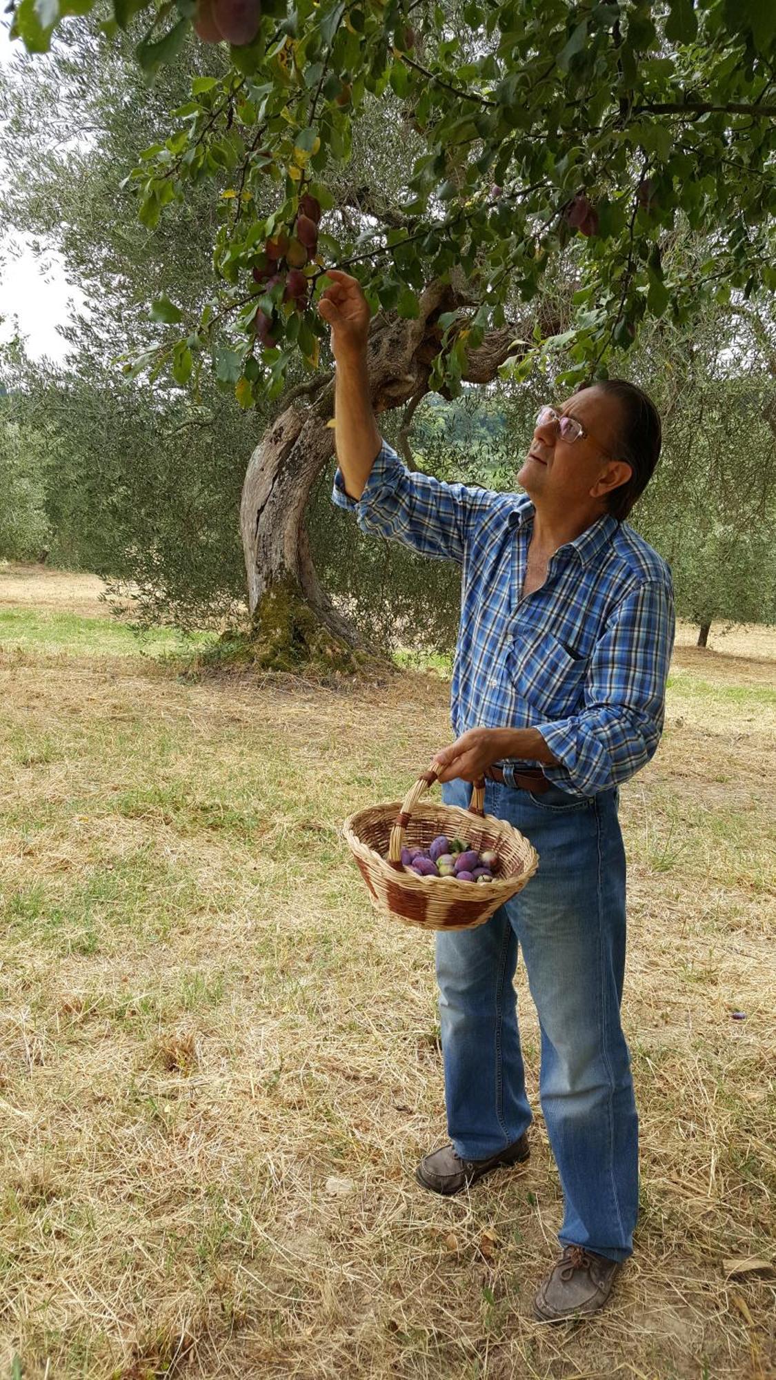 Montebello Degli Olivi Chiusi Bagian luar foto