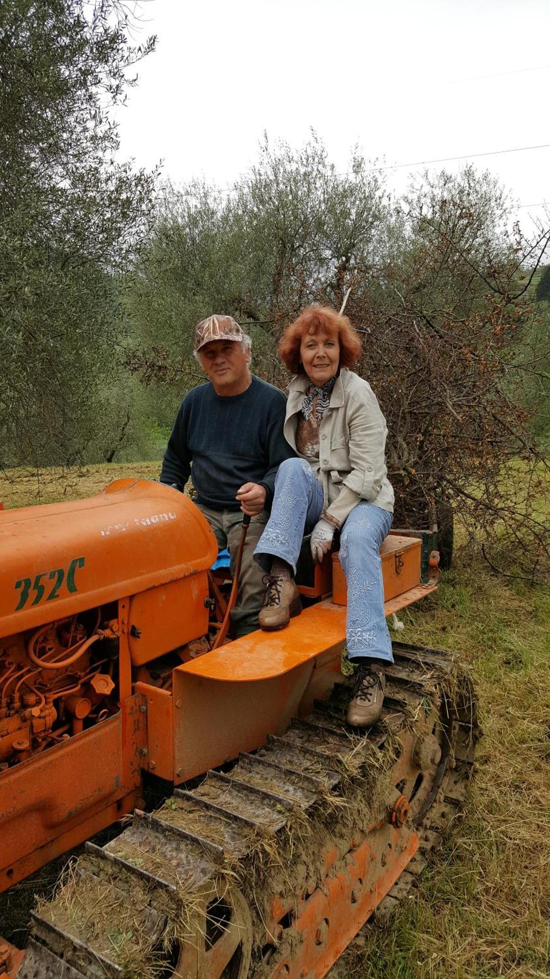 Montebello Degli Olivi Chiusi Bagian luar foto