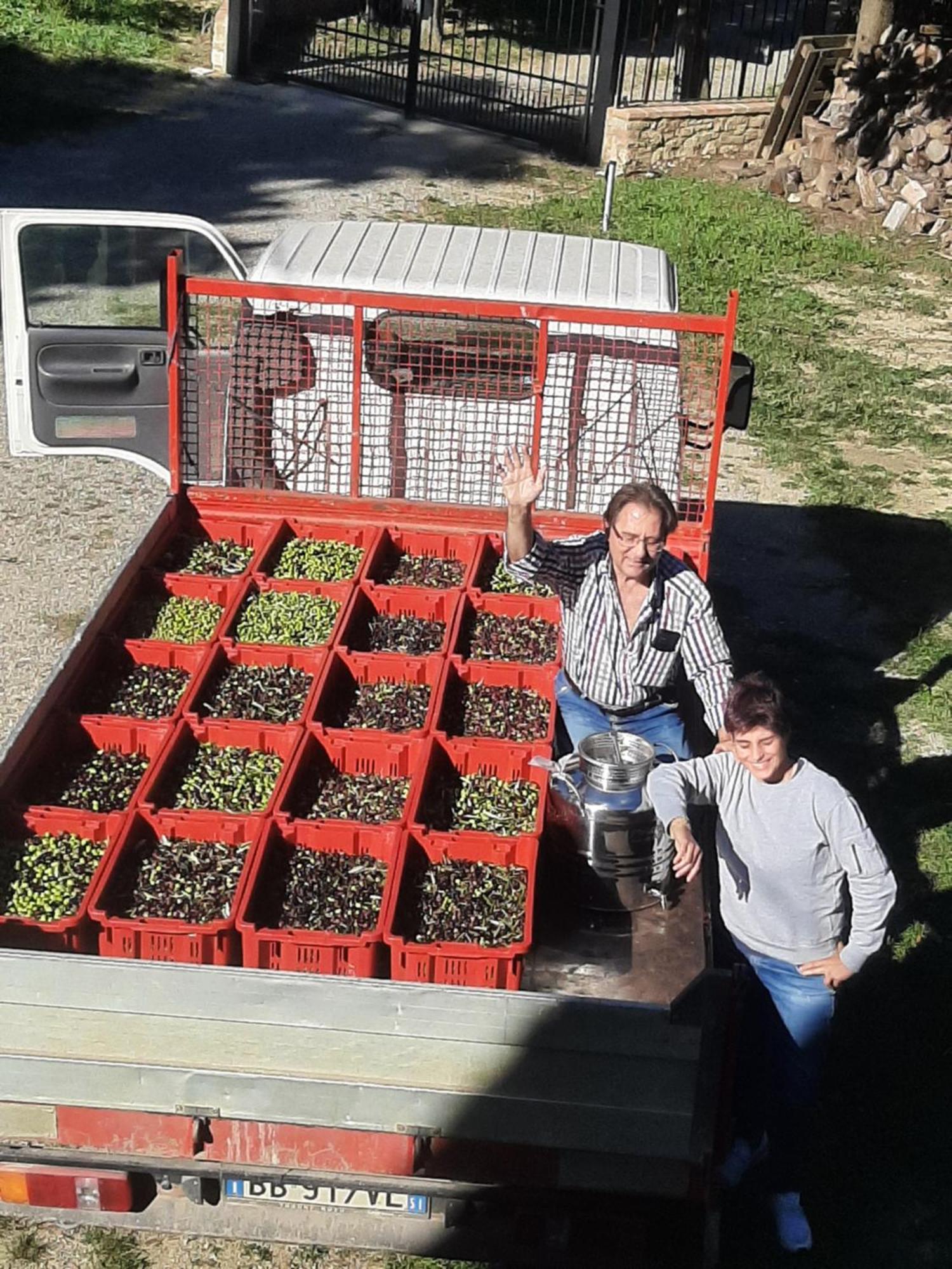 Montebello Degli Olivi Chiusi Bagian luar foto